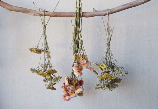 The Art of Drying Flowers