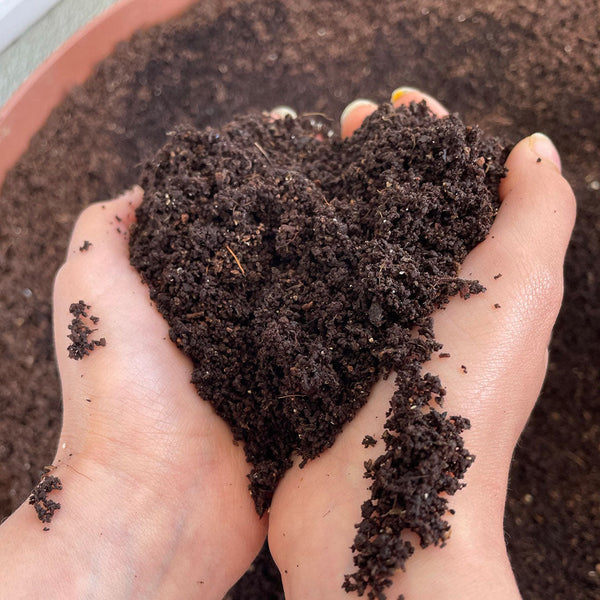 Composting with Worms - October 14th 11am -12pm