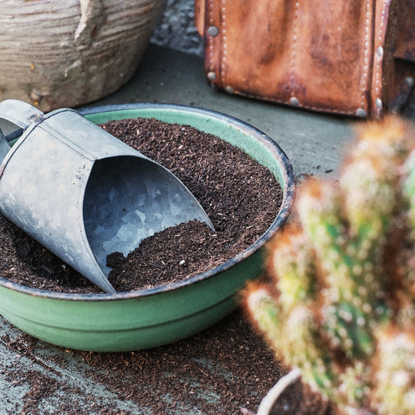 Composting with Worms - October 14th 11am -12pm