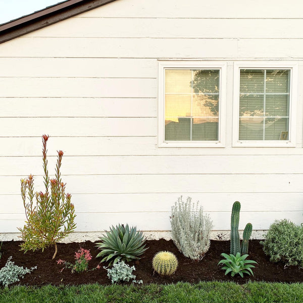 Intro to Home Landscaping Workshop - September 30th 11am-12pm