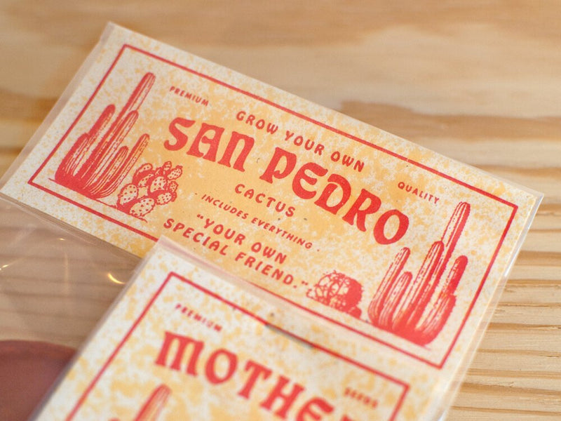 San Pedro Seed Kit