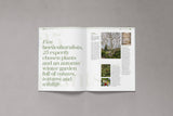 Bloom Issue 13 - Autumn 2022