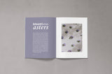 Bloom Issue 13 - Autumn 2022