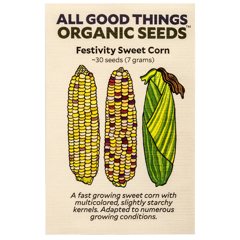All Good Things Organic Seeds Festivity Sweet Corn
