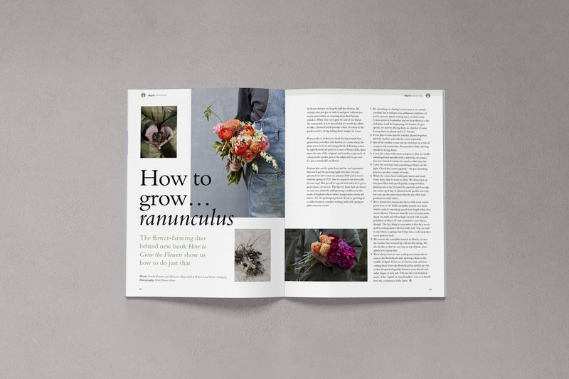 Bloom Issue 13 - Autumn 2022