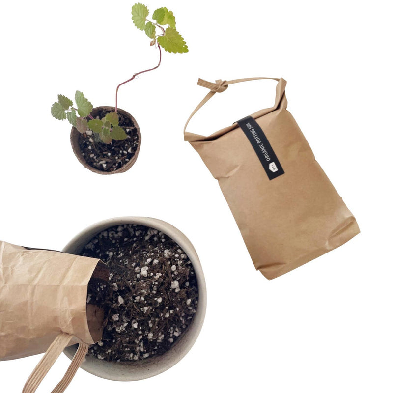 Large Indoor Potting Mix