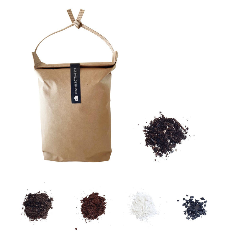 Large Indoor Potting Mix