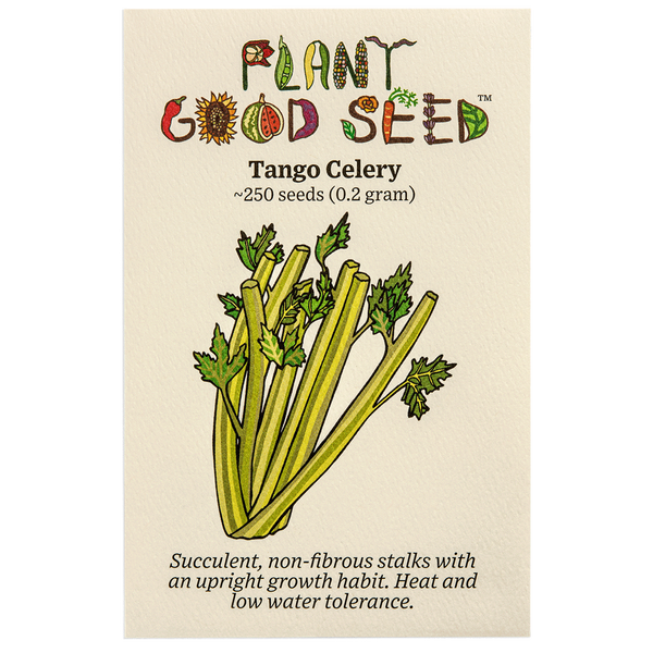 Plant Good Seed Tango Celery