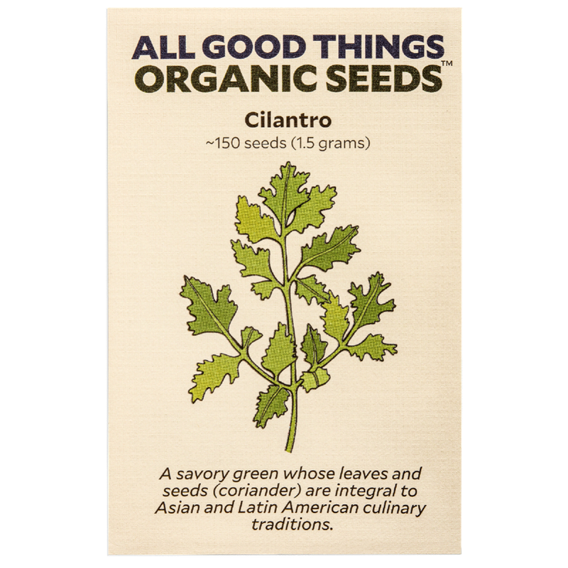 All Good Things Organic Seeds Cilantro 