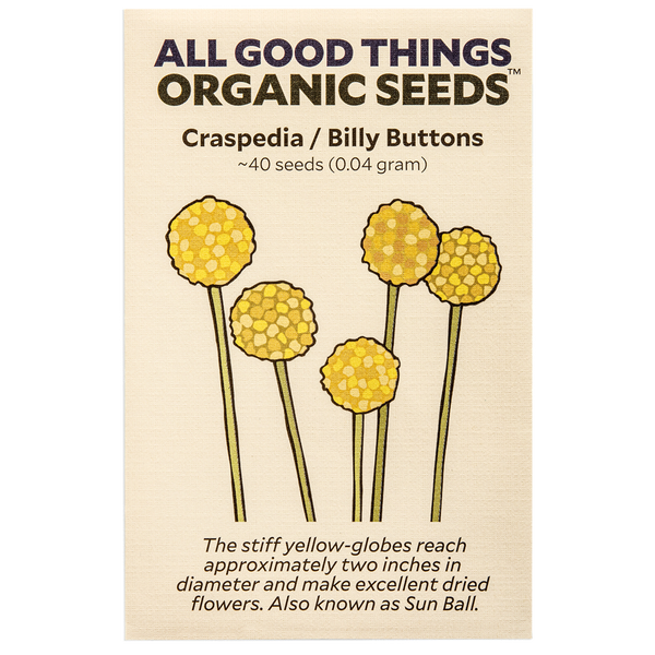 All Good Things Organic Seeds Craspedia/Billy Buttons