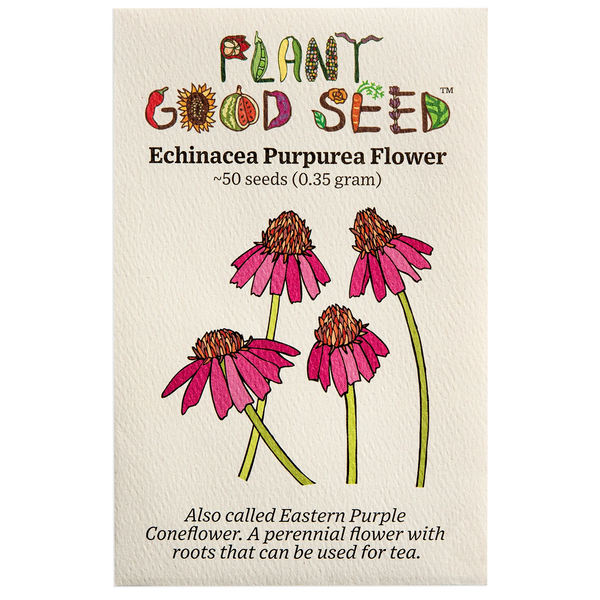 Echinacea Purpurea Flower Seeds