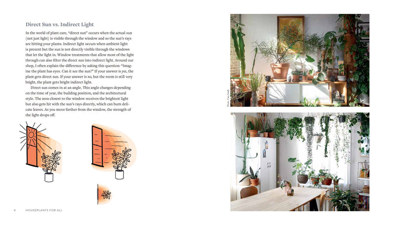 Houseplants for All: How to Fill Any Home with Happy Plants