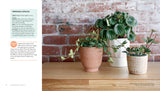 Houseplants for All: How to Fill Any Home with Happy Plants
