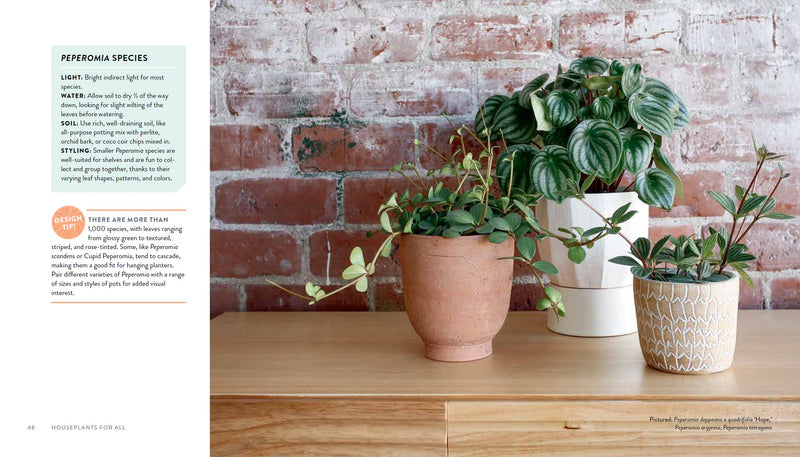 Houseplants for All: How to Fill Any Home with Happy Plants