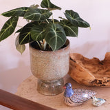 4.8" Footed Speckled Glazed Pot