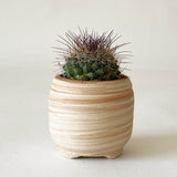 2" Marbled Bell Ceramic Mini Pot