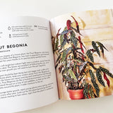 Little Book Big Plants