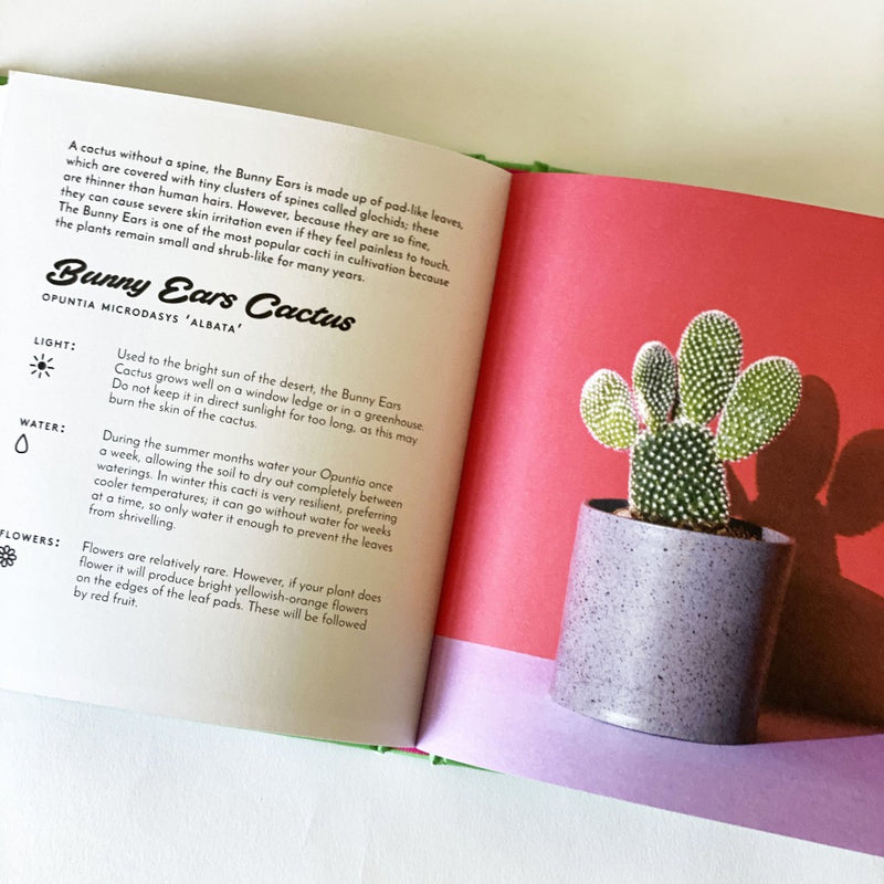 The Little Book of Cacti and Other Succulents Emma Sibley