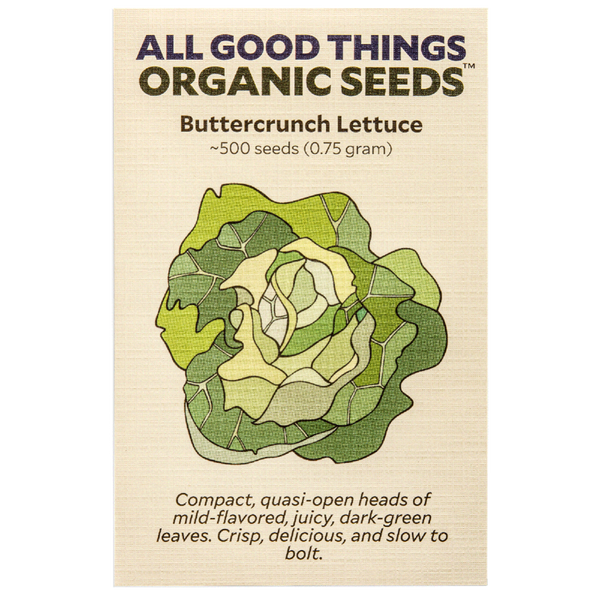 All Good Things Organic Seeds Buttercrunch Lettuce 