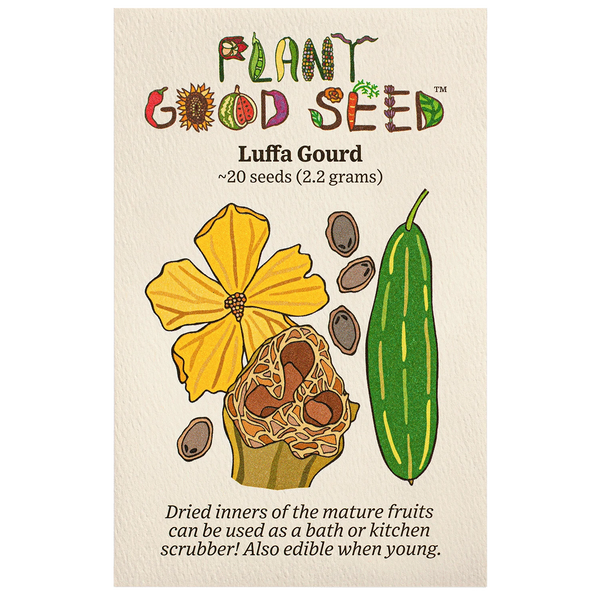 Luffa Gourd Seeds