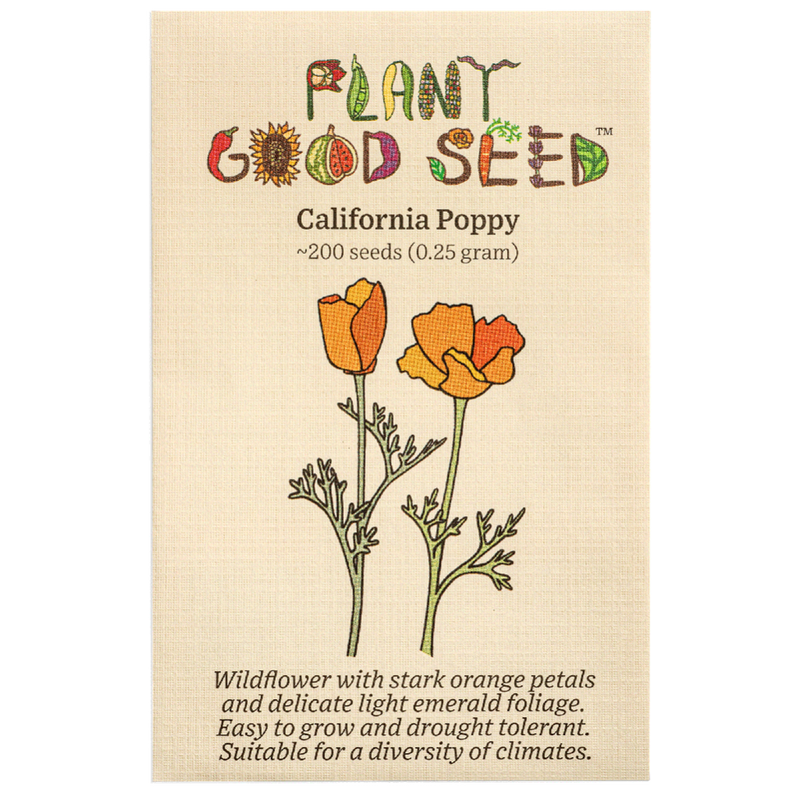Plant Good Seed California Poppy