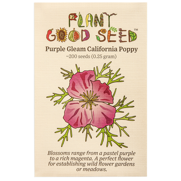 Plant Good Seed Purple Gleam California poppy