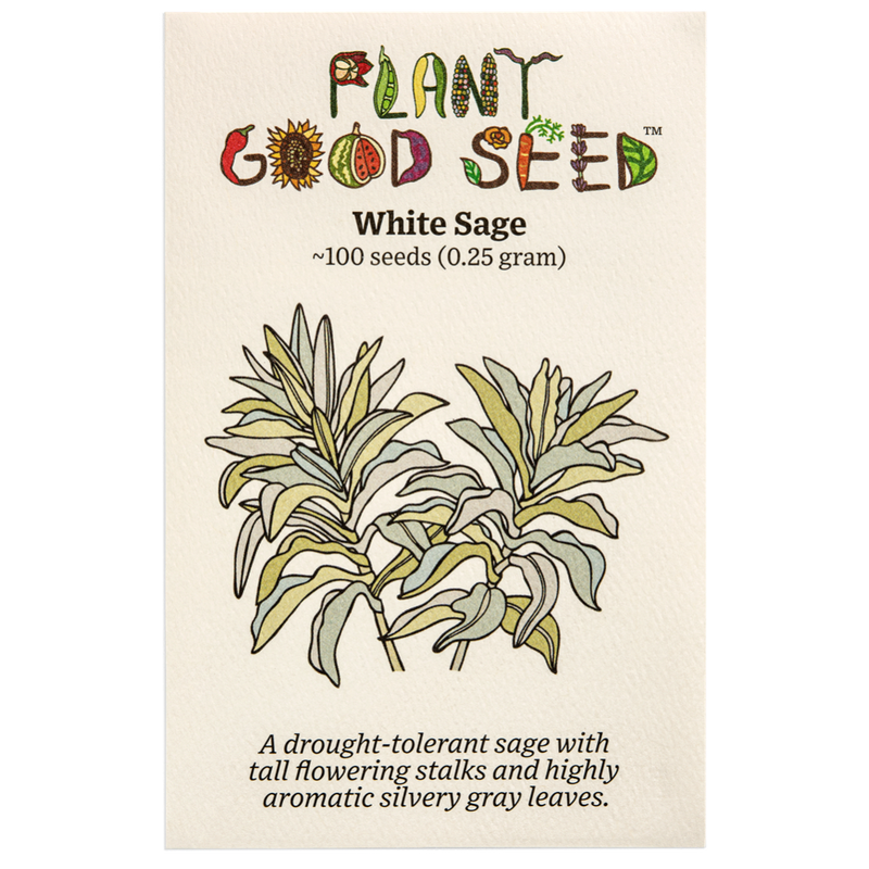Plant Good Seed White Sage 
