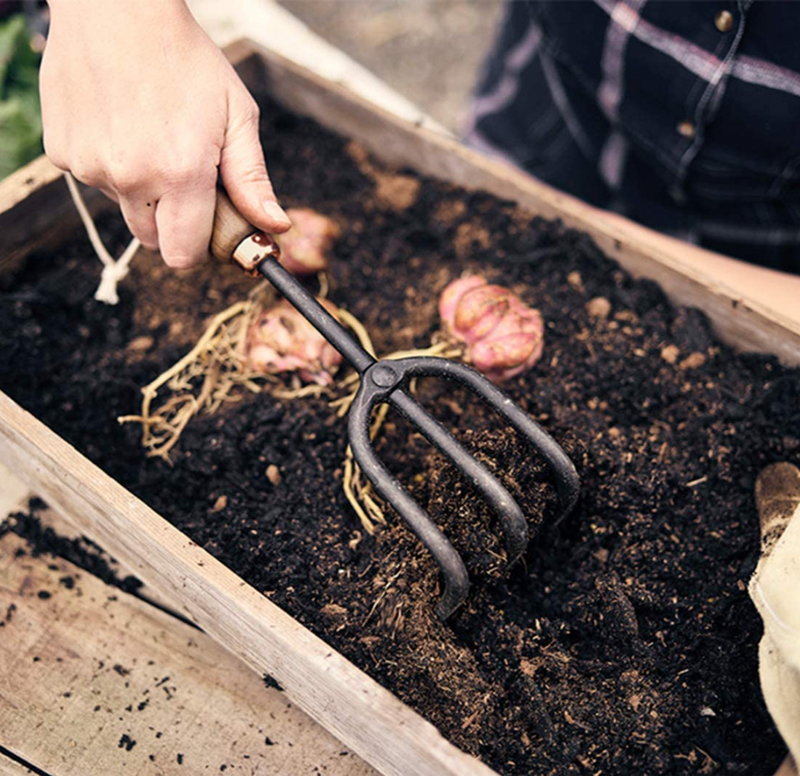 Walnut Cultivator