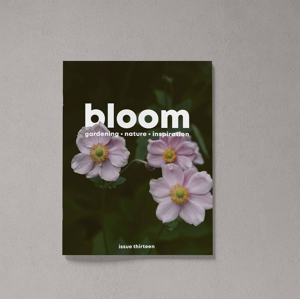 Bloom Issue 13 - Autumn 2022