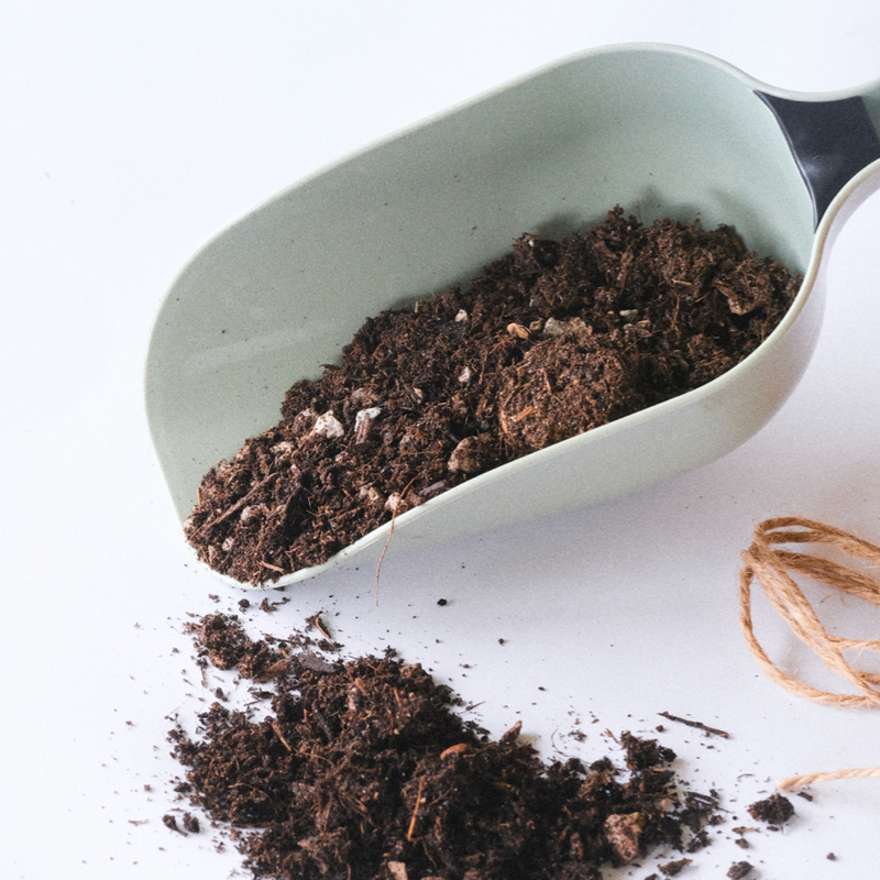 potting scoop