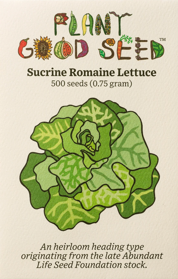 Sucrine Romaine Lettuce Seeds