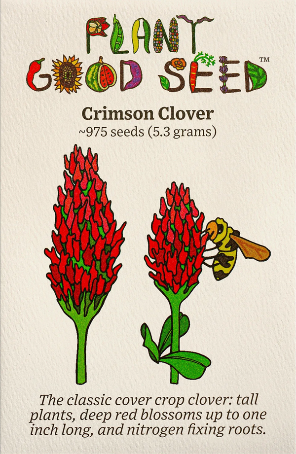 Crimson Clover Seeds