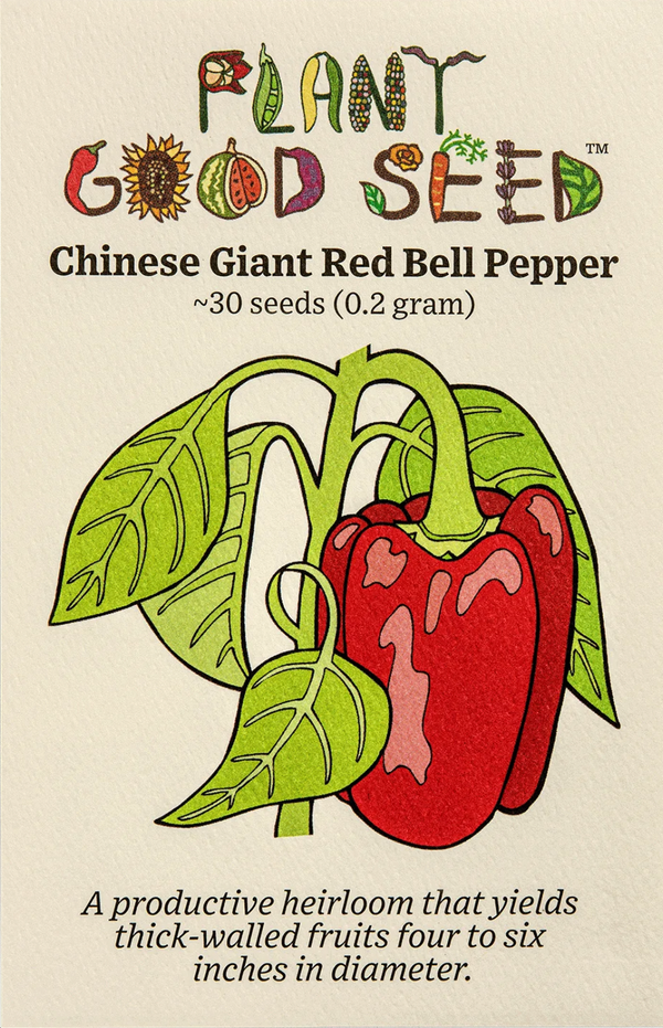 Chinese Giant Red Bell Pepper Seeds