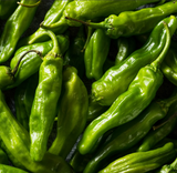 Shishito Pepper Seeds