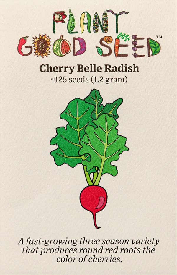 Cherry Belle Radish Seeds