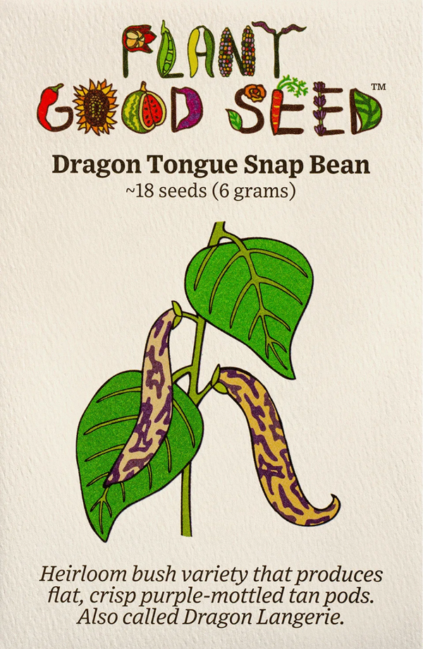 Dragon Tongue Snap Bean Seeds