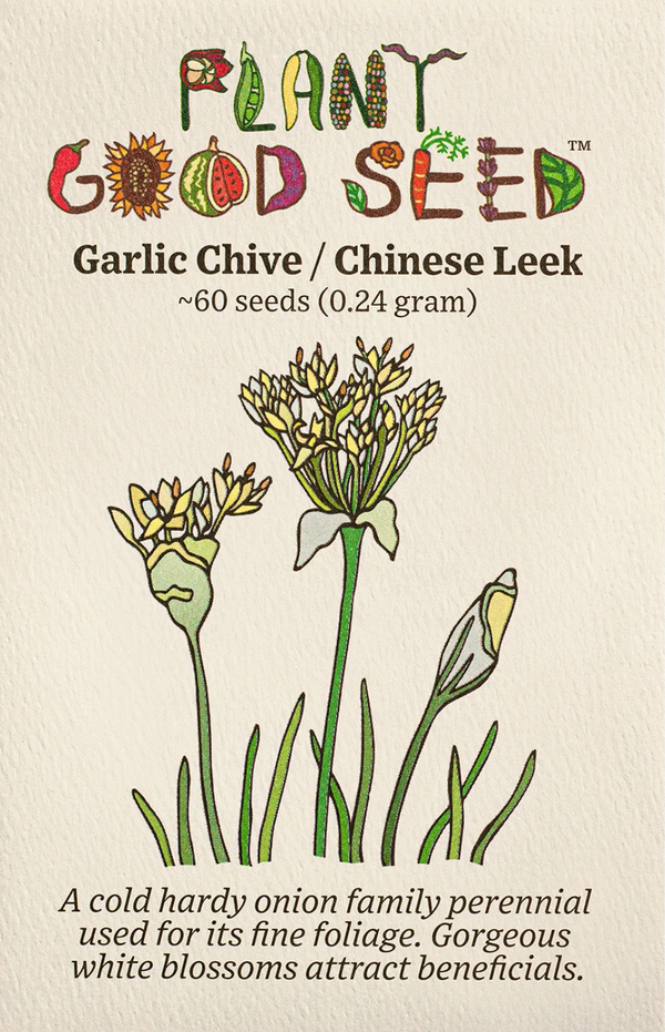 Garlic Chive / Chinese Leek Seeds