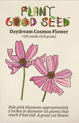 Daydream Cosmos Flower Seeds