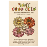 Plant Good Seed Sultane Strawflower Mix