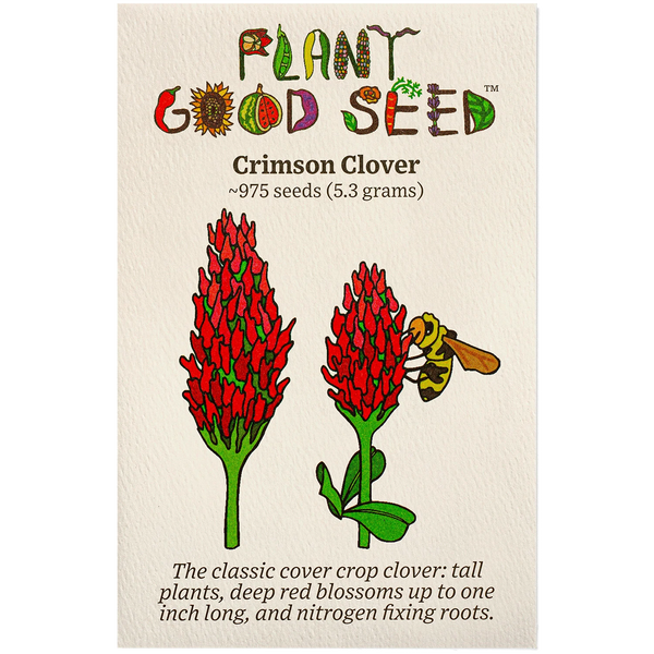 Crimson Clover Seeds