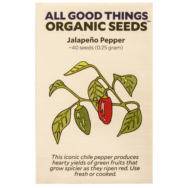 All Good Things Organic Seeds Jalapeño Pepper