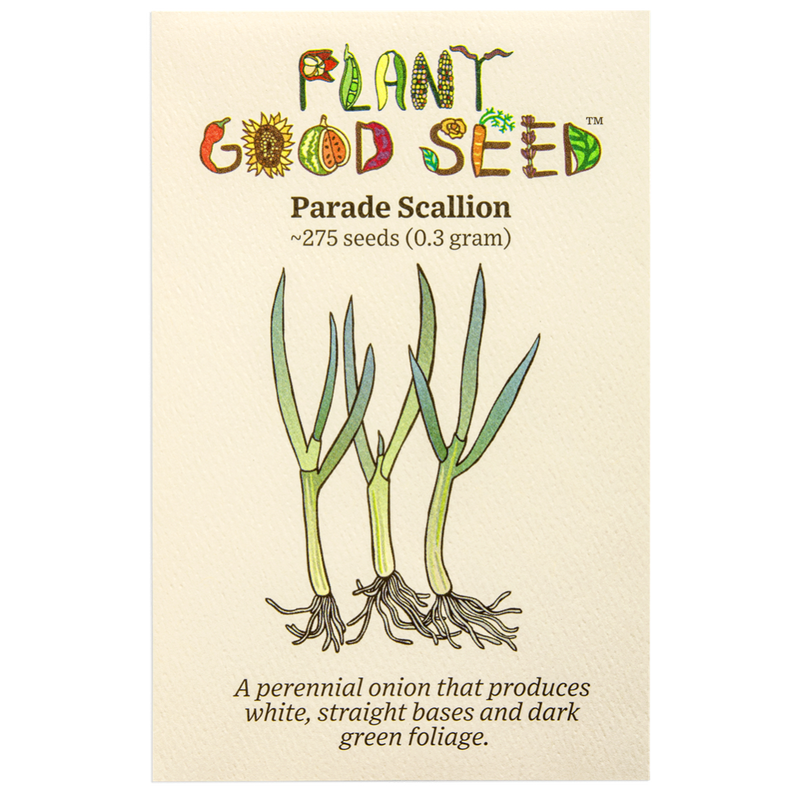 Plant Good Seed Parade Scallion