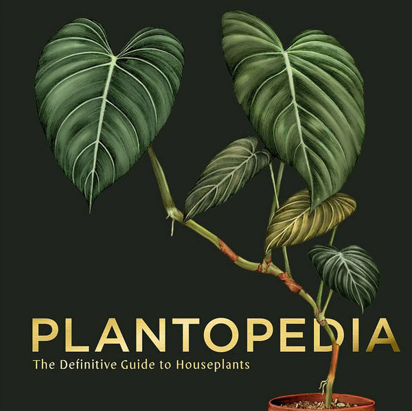 plantopedia