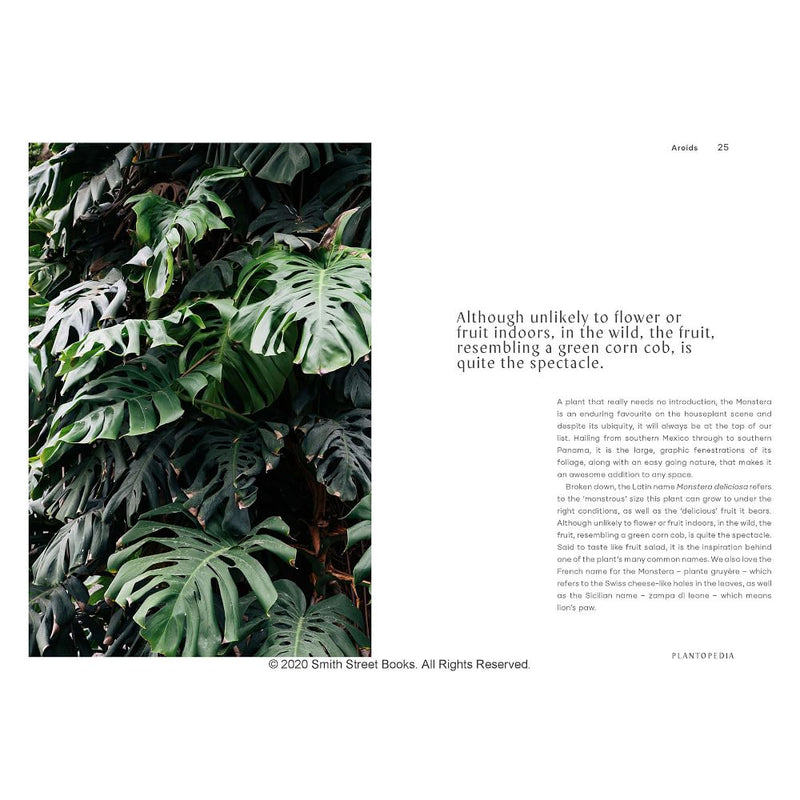 plantopedia